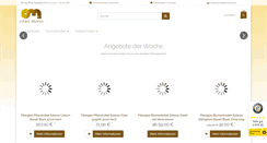 Desktop Screenshot of casa-mina.com